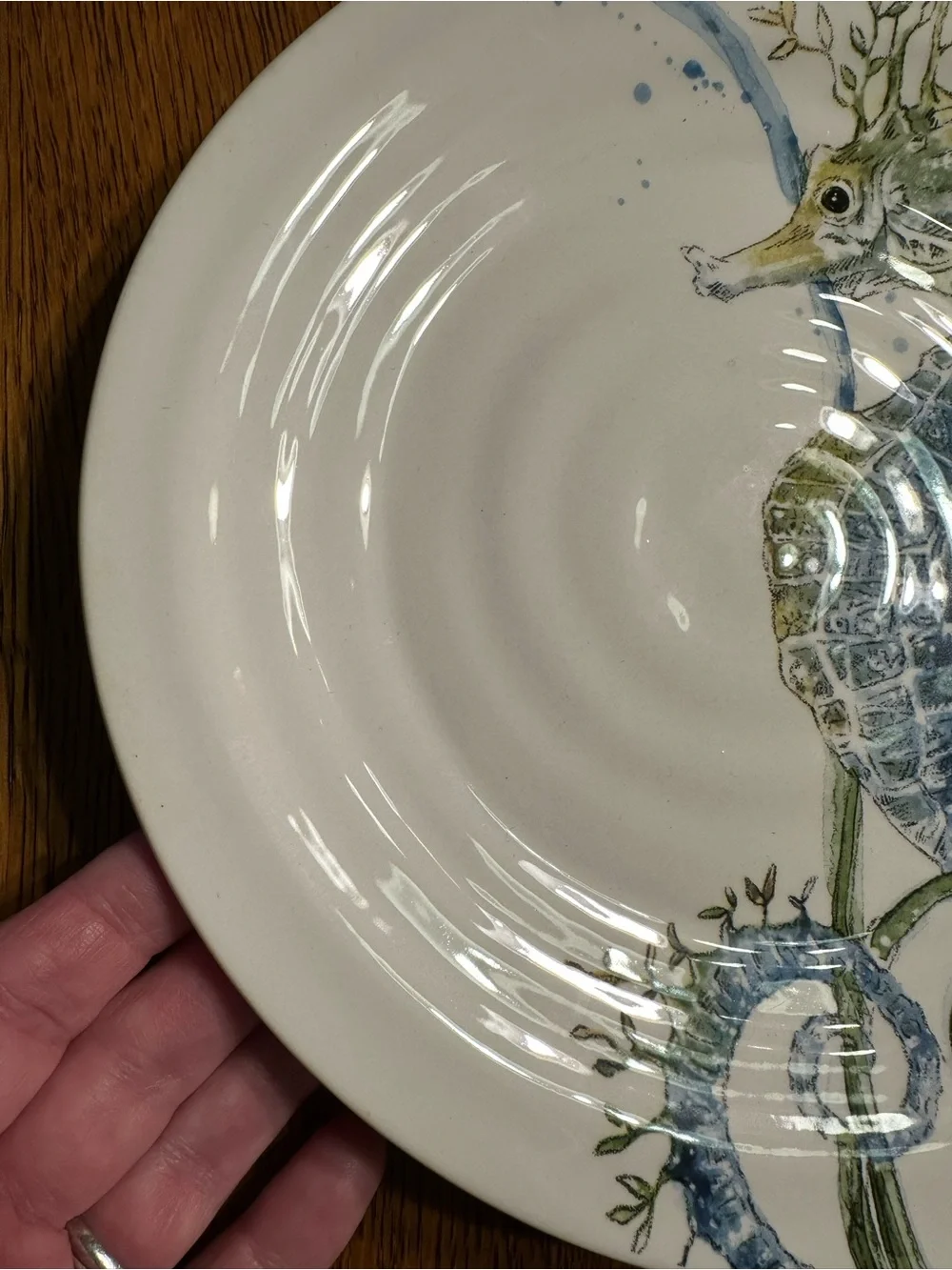 Pier 1 Sea Life Seahorse 9” Salad Plate Ironstone Coastal Nautical Discontinued